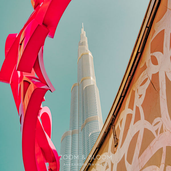 ARCHITECTURE – Zoom&Bloom