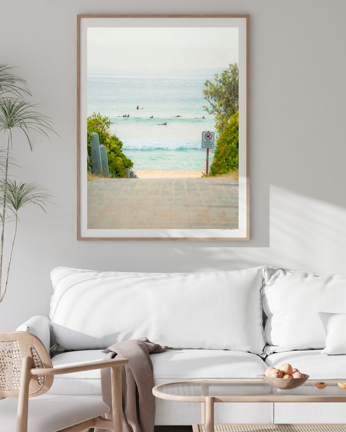 MAROUBRA SEALS (PORTRAIT)