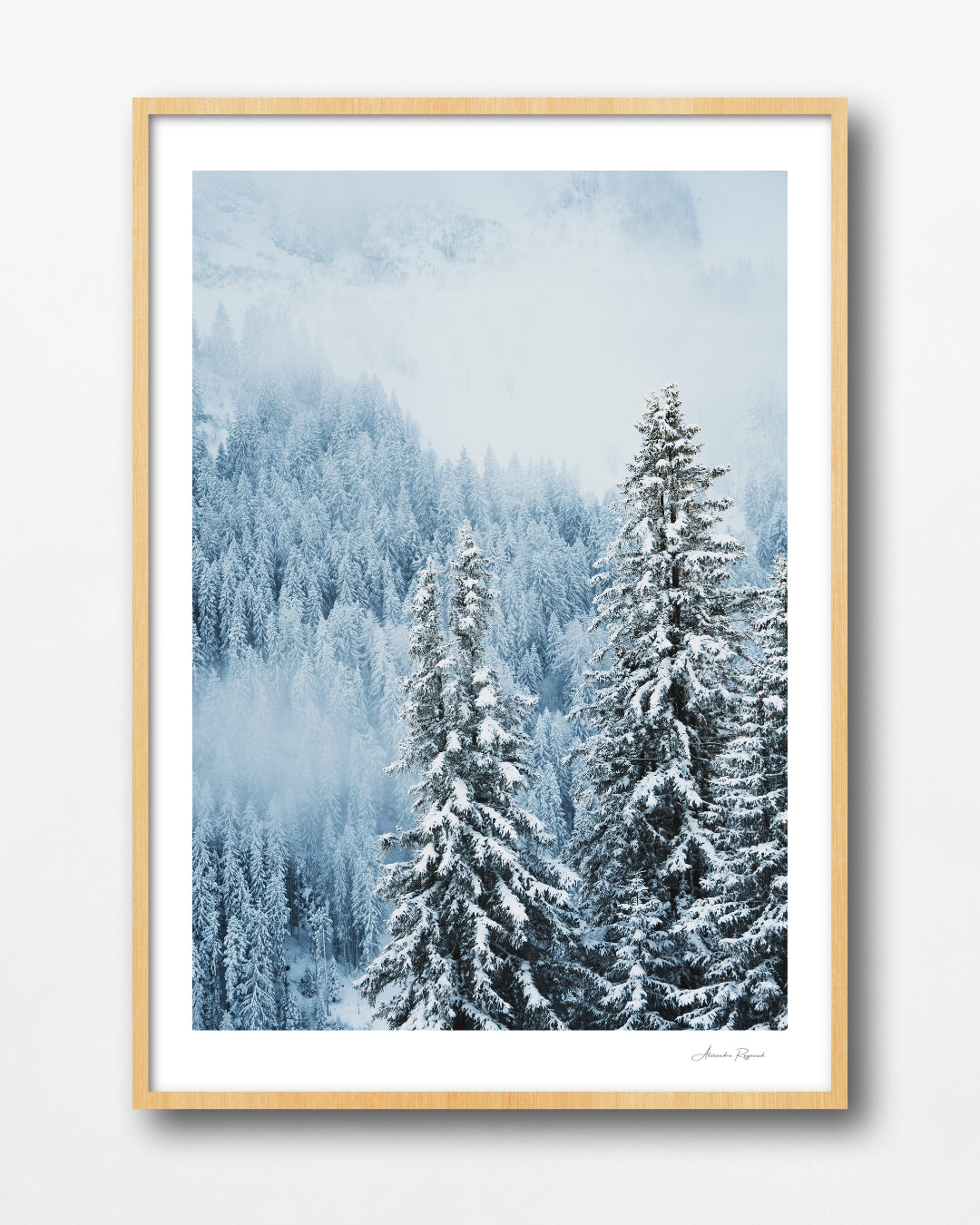 SNOW DAY