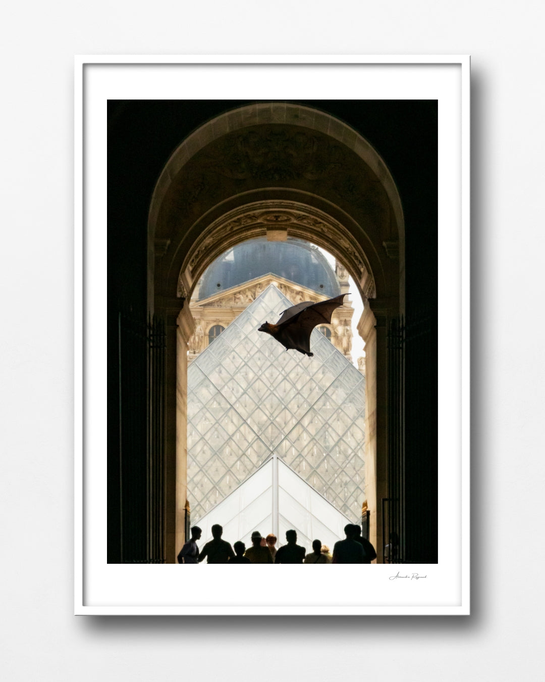 FOX BAT AT THE LOUVRES