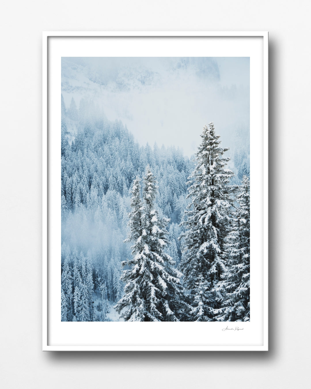 SNOW DAY