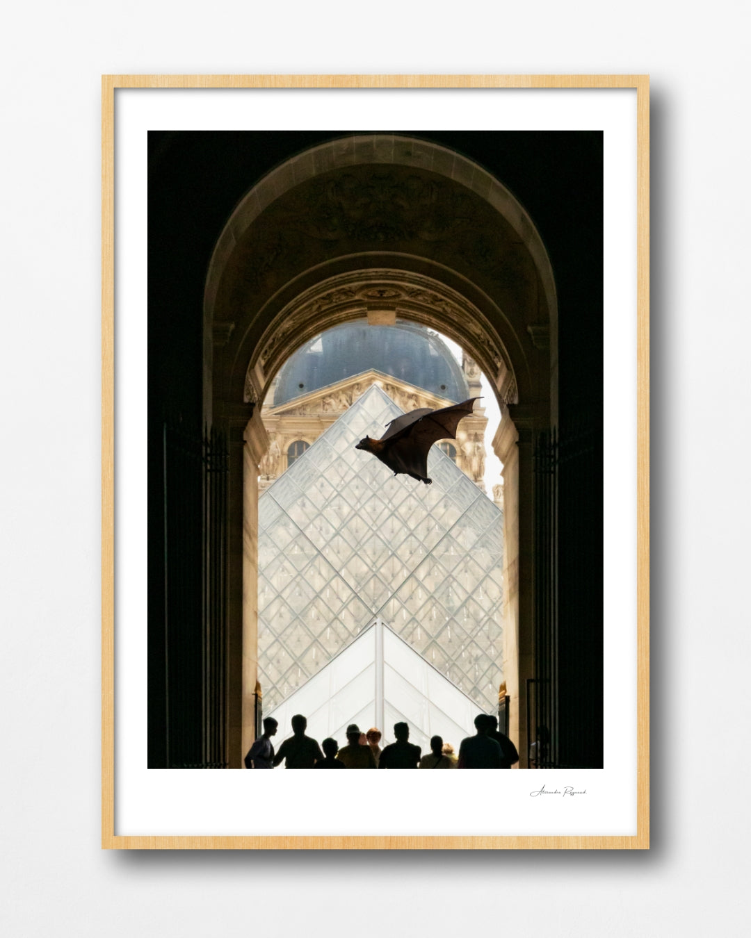FOX BAT AT THE LOUVRES