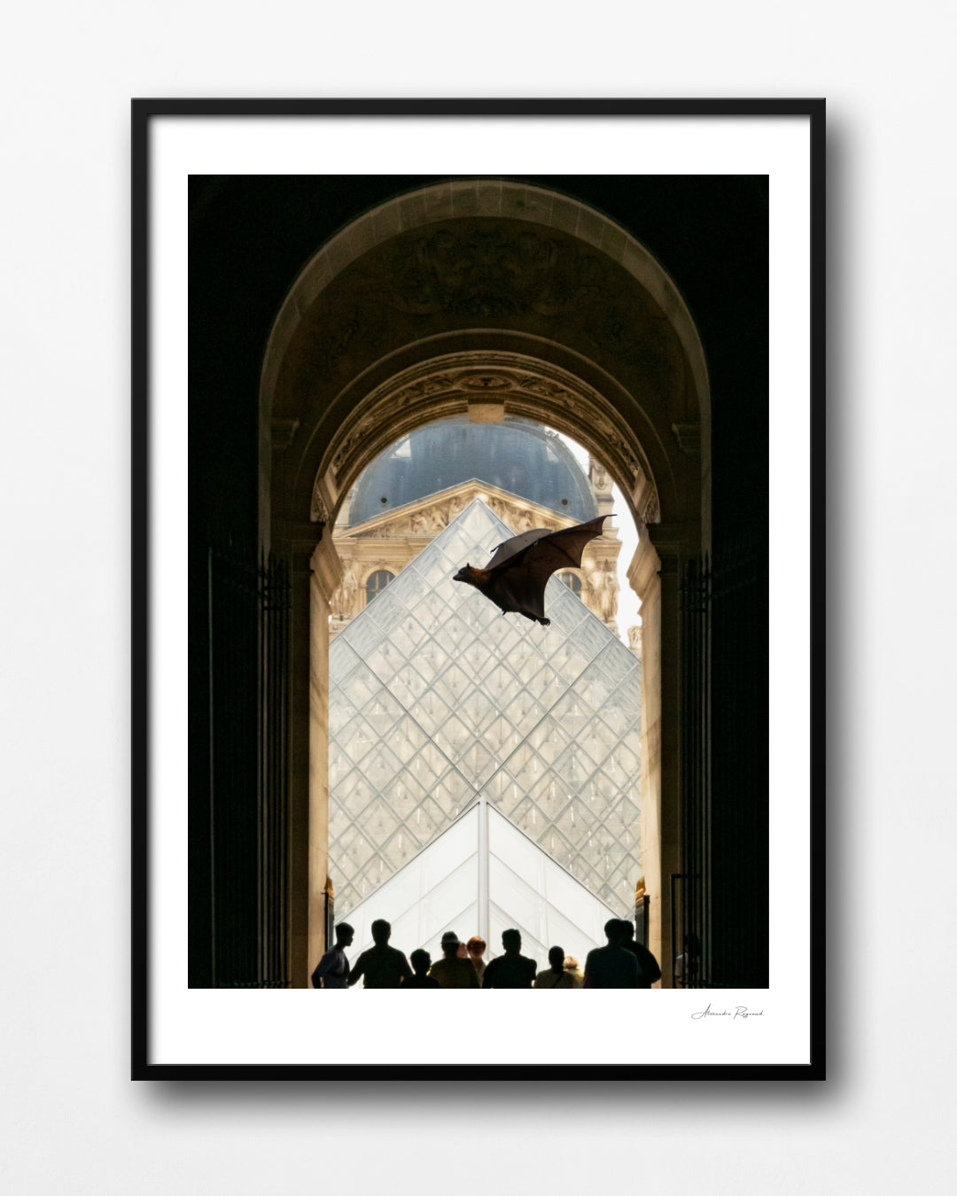 FOX BAT AT THE LOUVRES