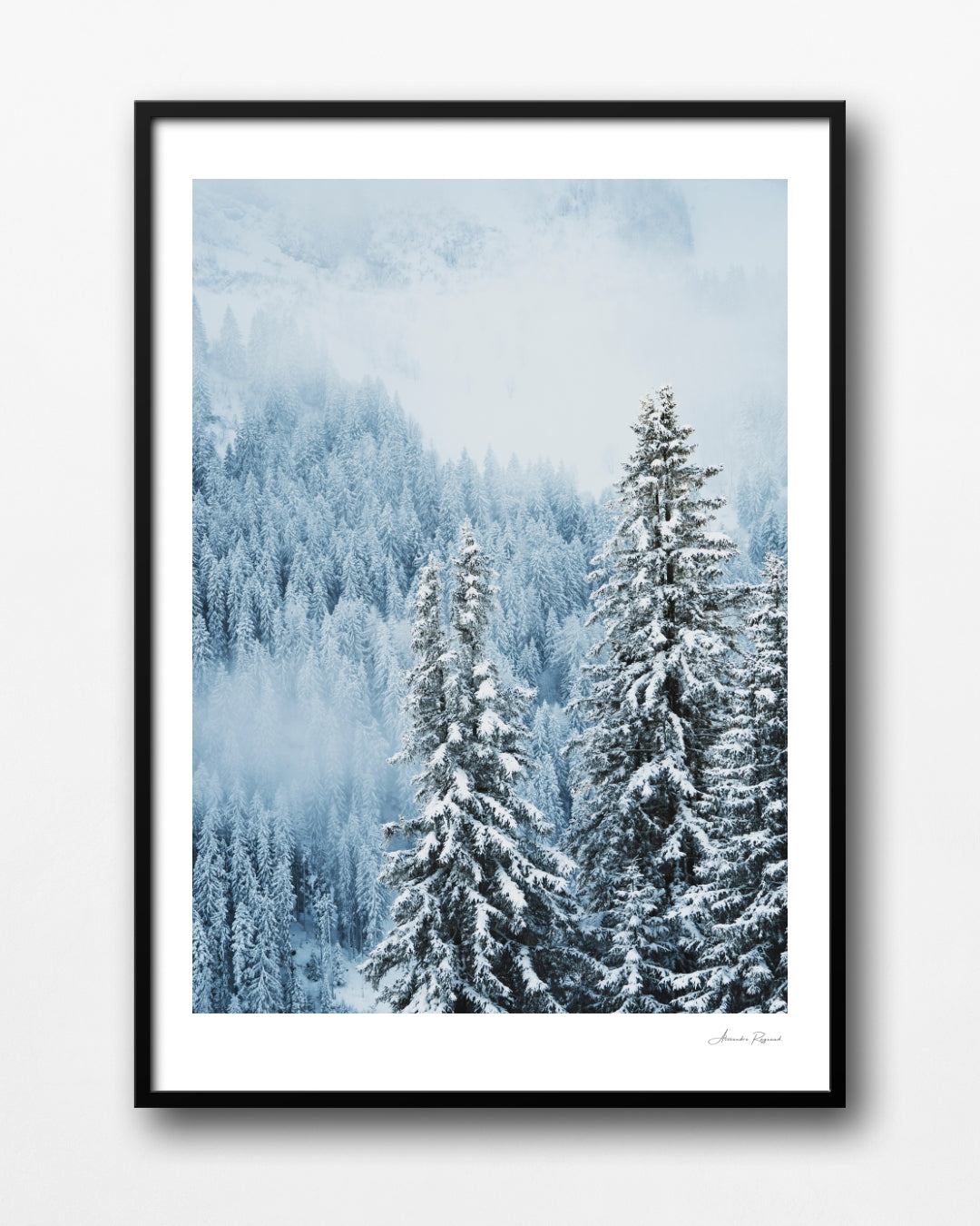 SNOW DAY