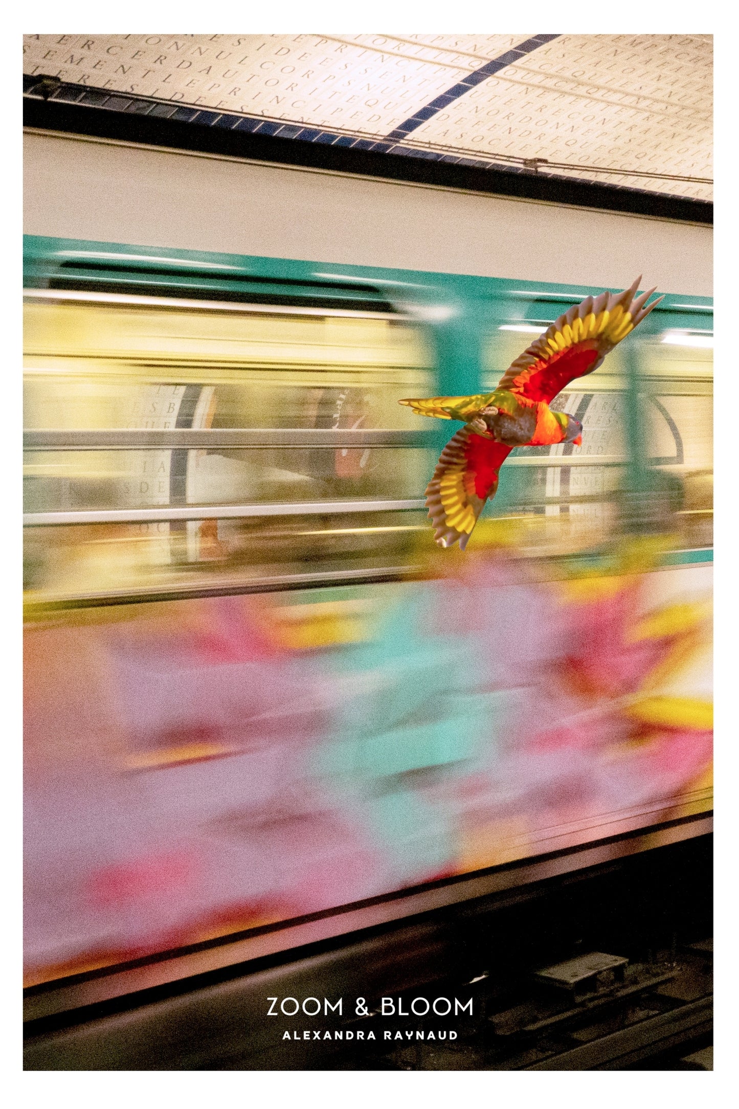 LORIKEET IN PARIS
