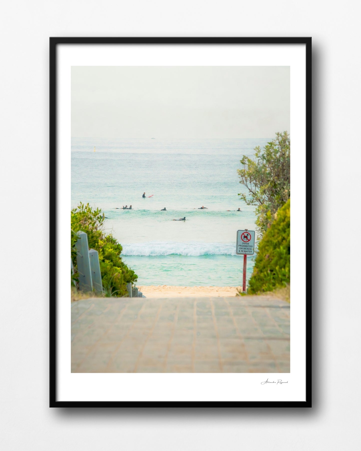 MAROUBRA SEALS (PORTRAIT)