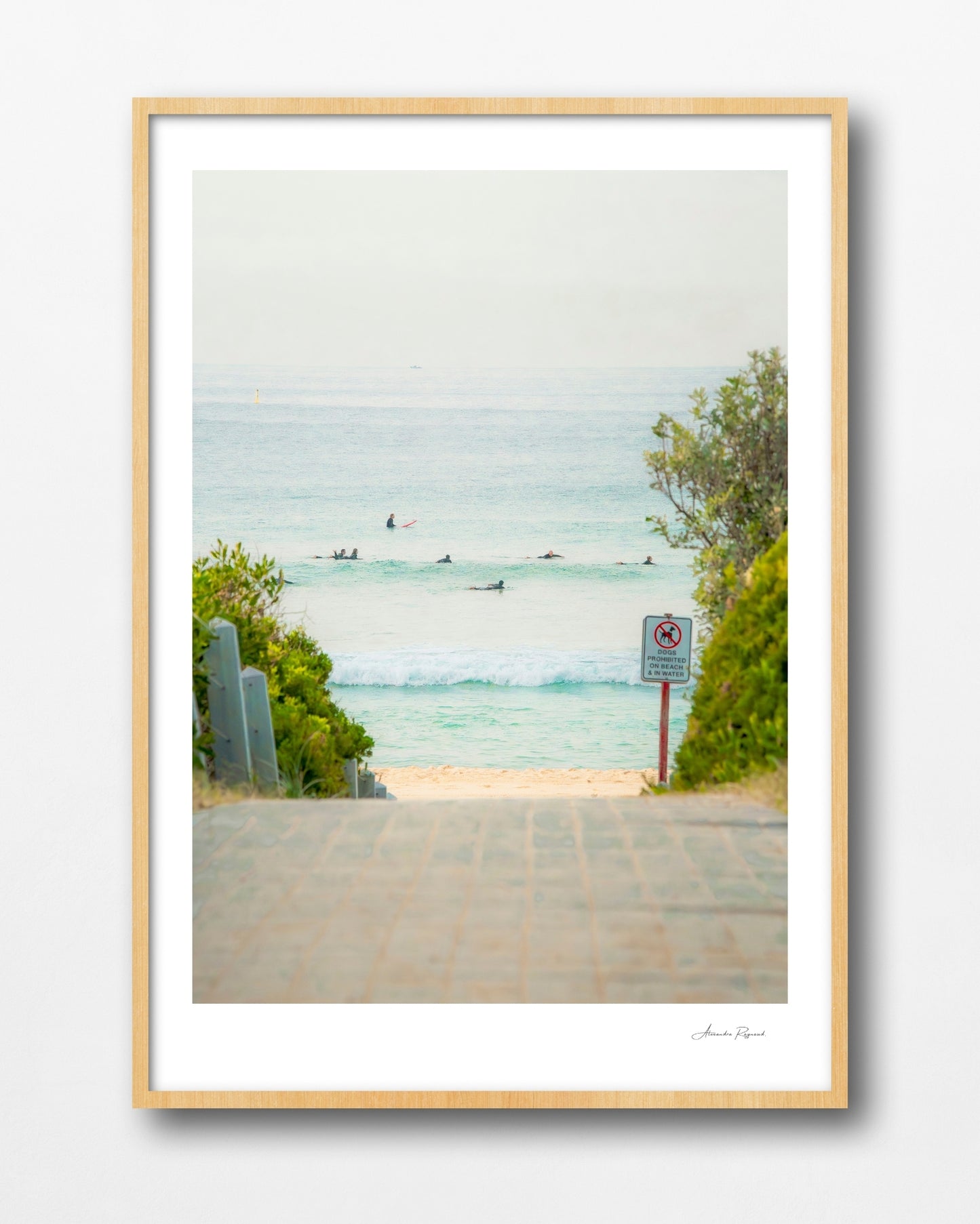 MAROUBRA SEALS (PORTRAIT)