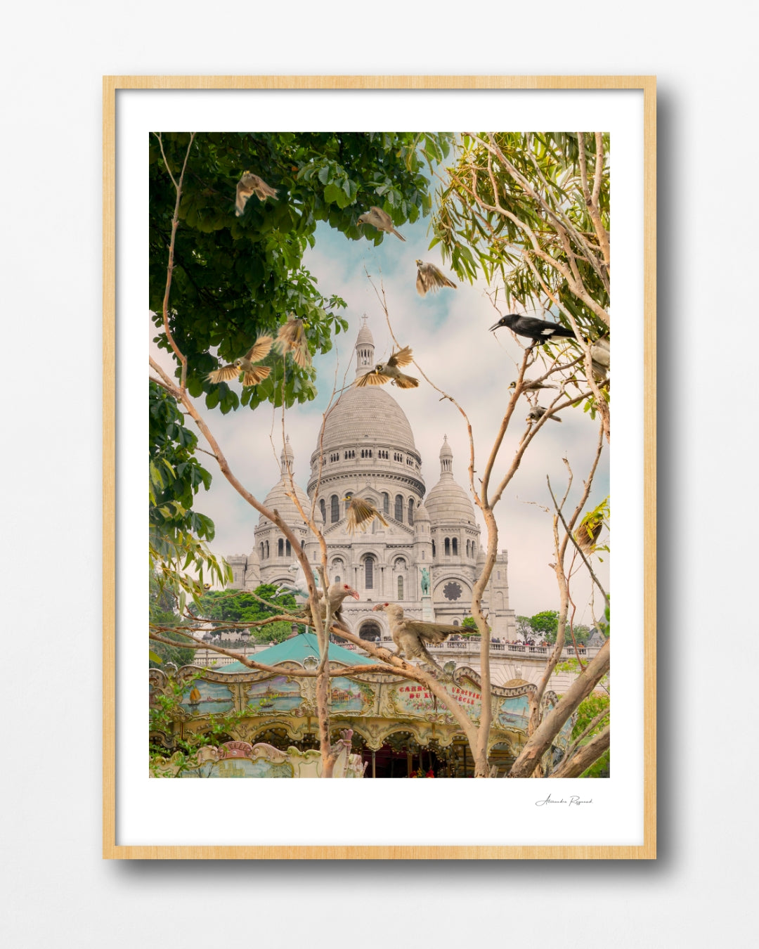 MAGPIE IN PARIS