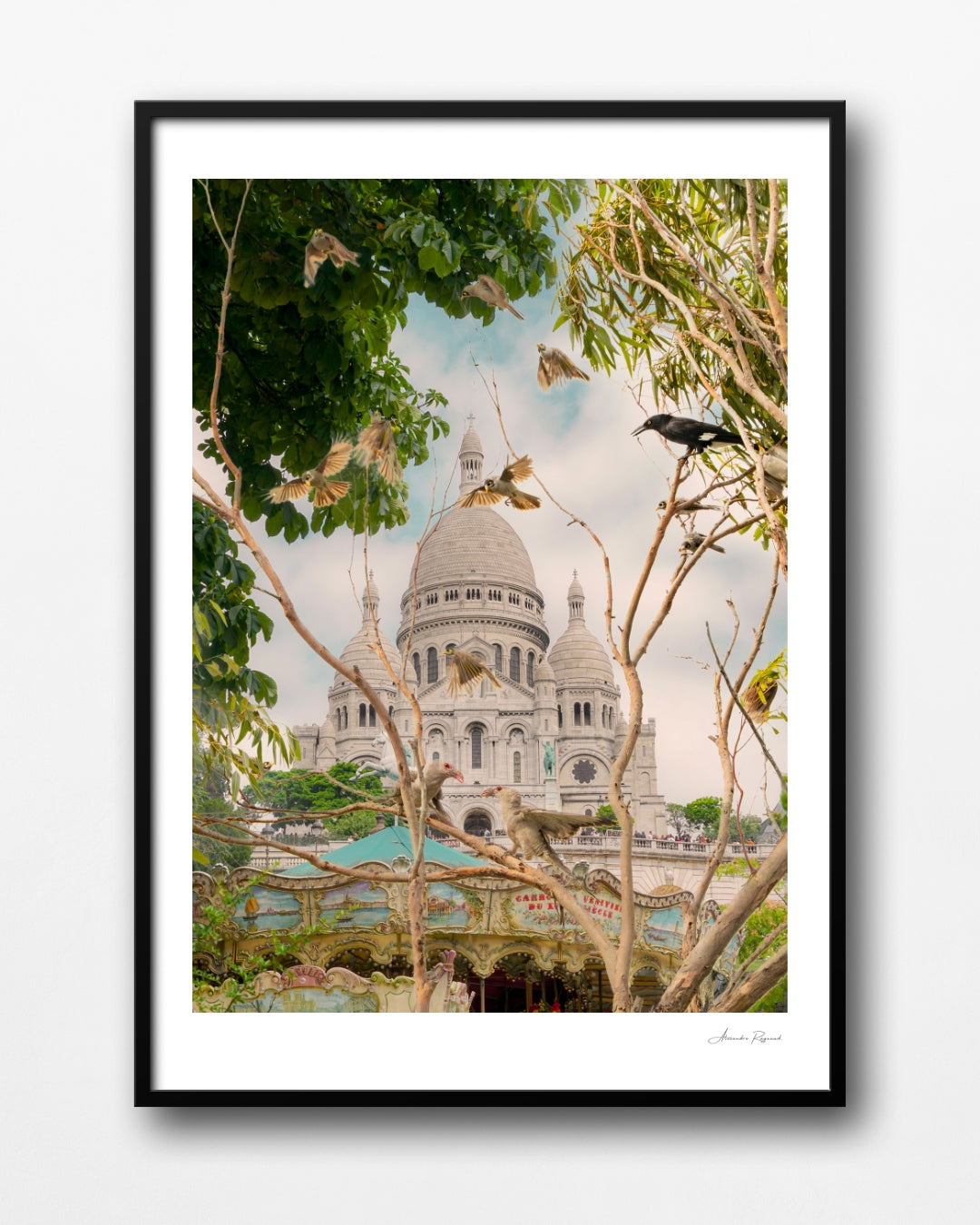 MAGPIE IN PARIS