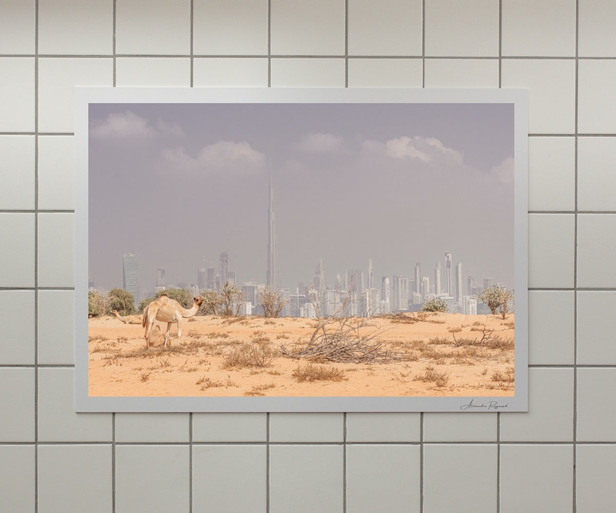 URBAN DESERT