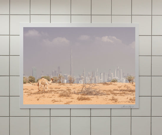 URBAN DESERT