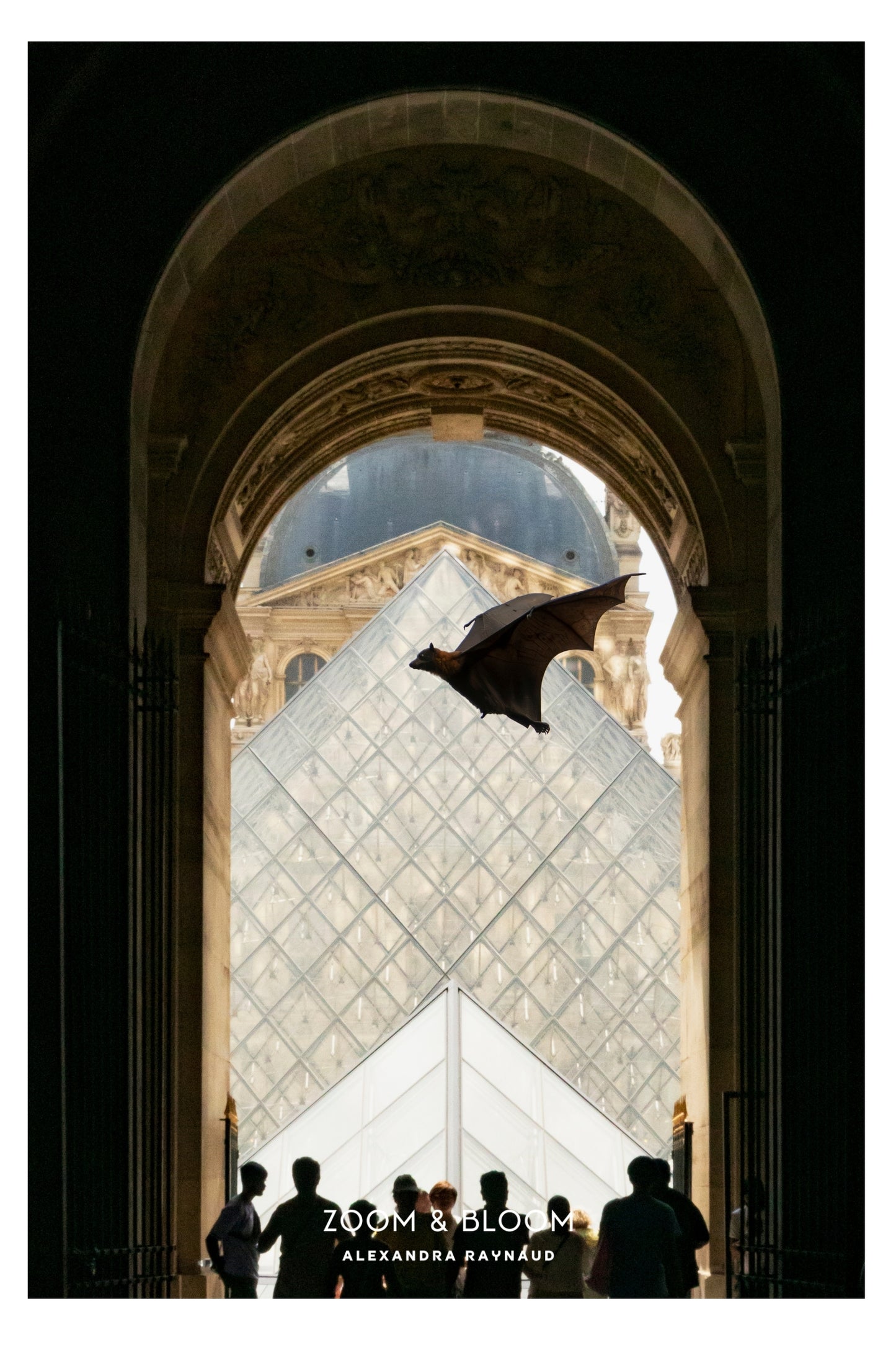 FOX BAT AT THE LOUVRES