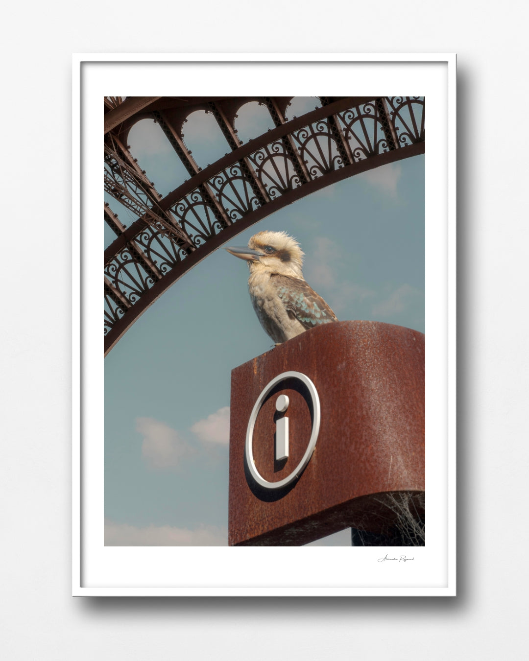 KOOKABURRA IN PARIS