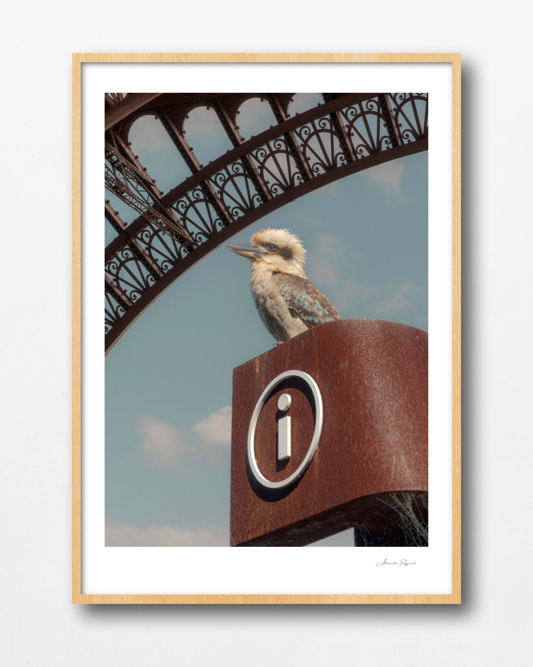 KOOKABURRA IN PARIS