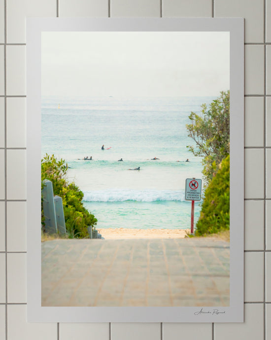 MAROUBRA SEALS (PORTRAIT)