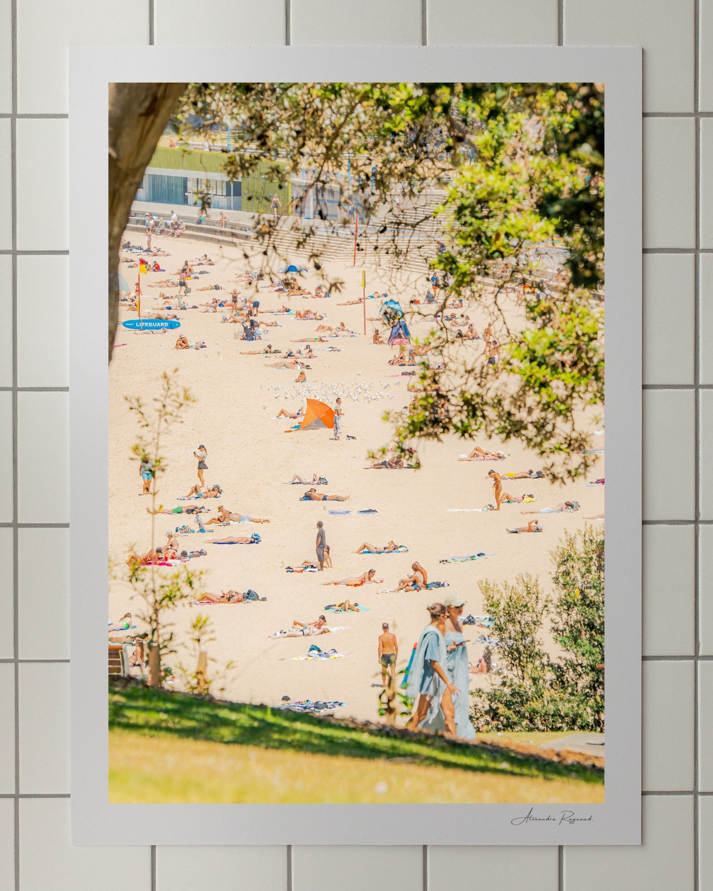 COOGEE BEACH DECOR