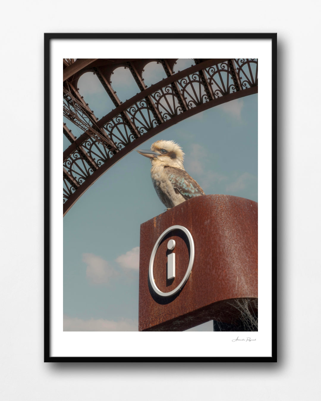 KOOKABURRA IN PARIS