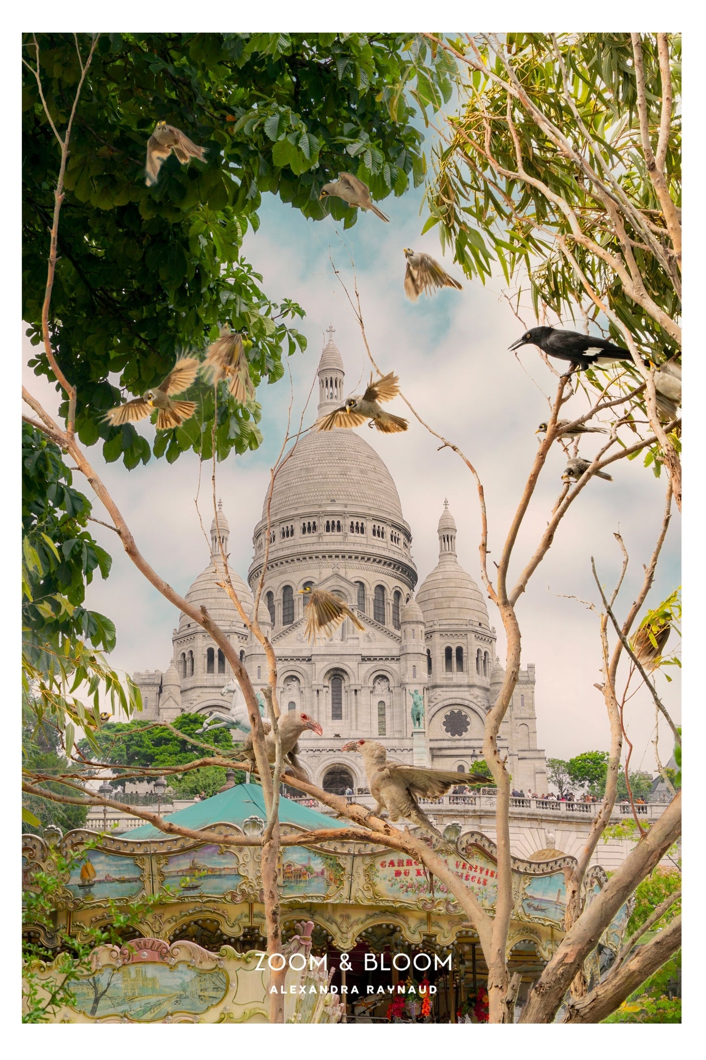 MAGPIE IN PARIS