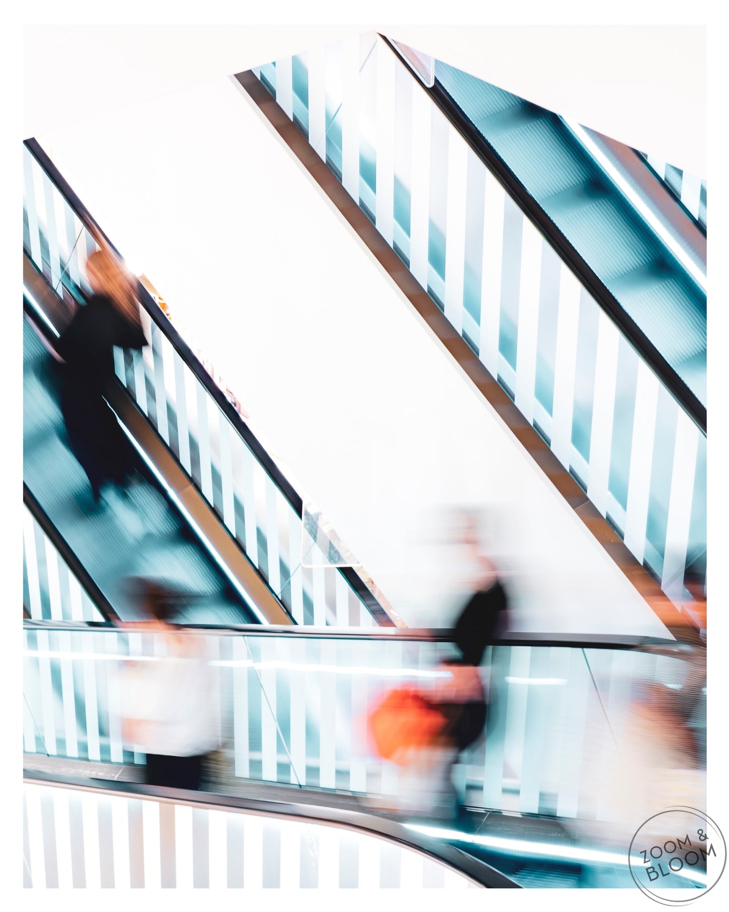 SPEED SHOPPING
