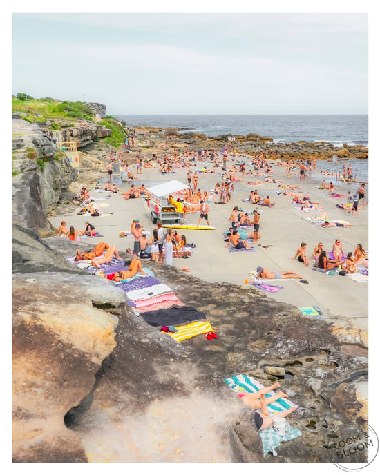 CLOVELLY ROCKS