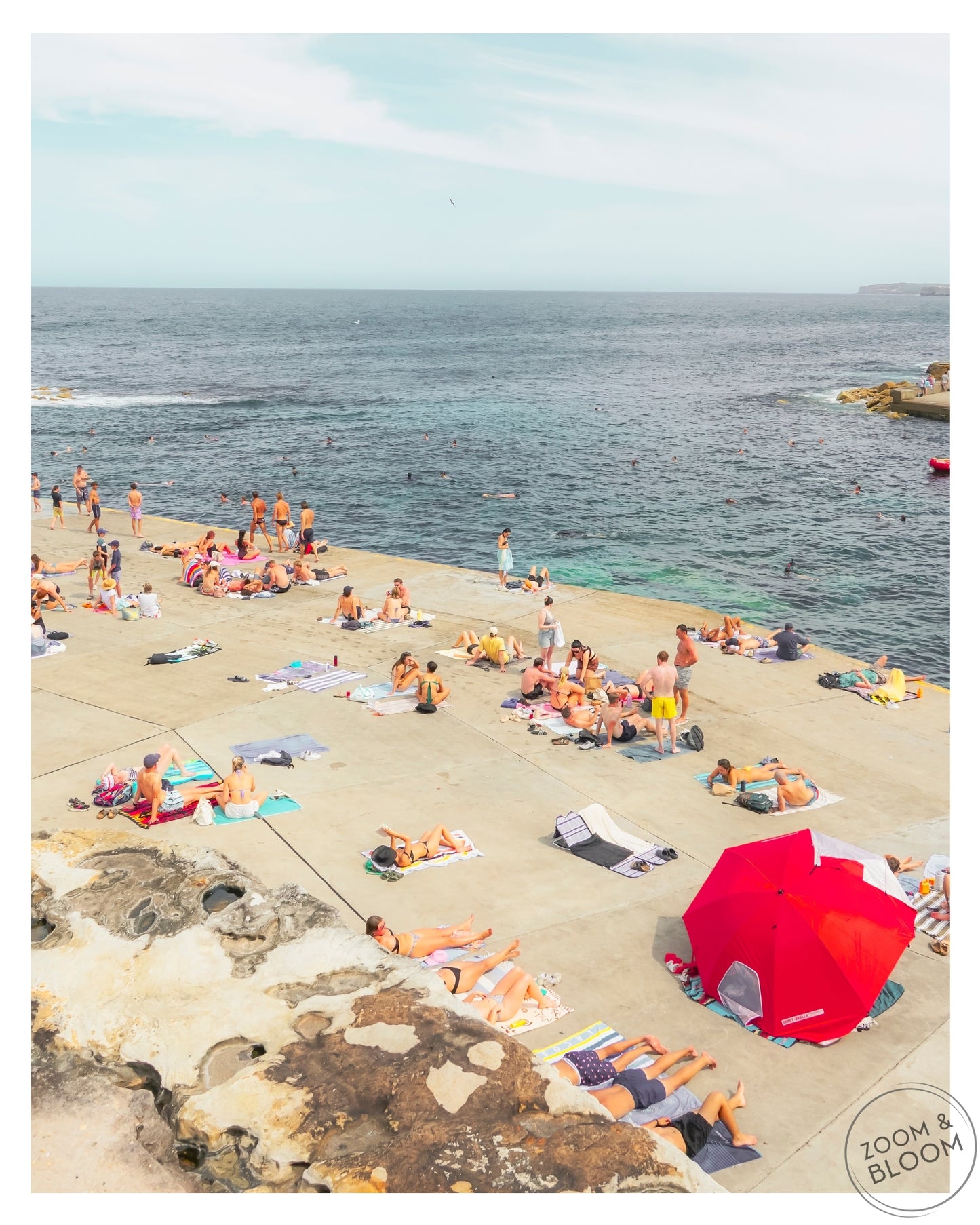 CLOVELLY UMBRELLA