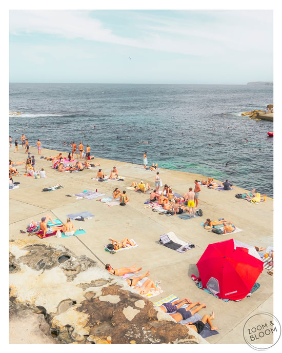 CLOVELLY UMBRELLA