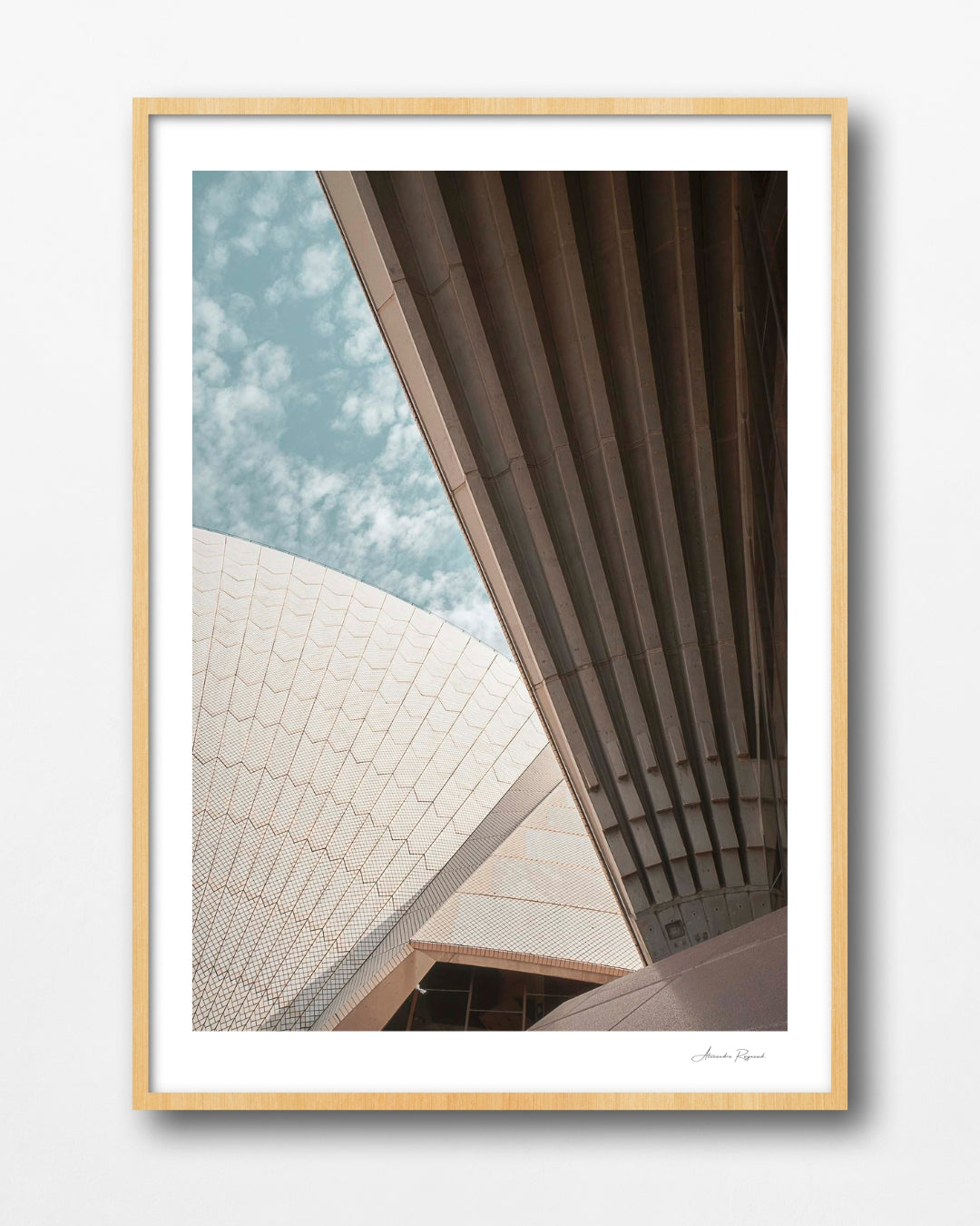 LINES OF THE OPERA
