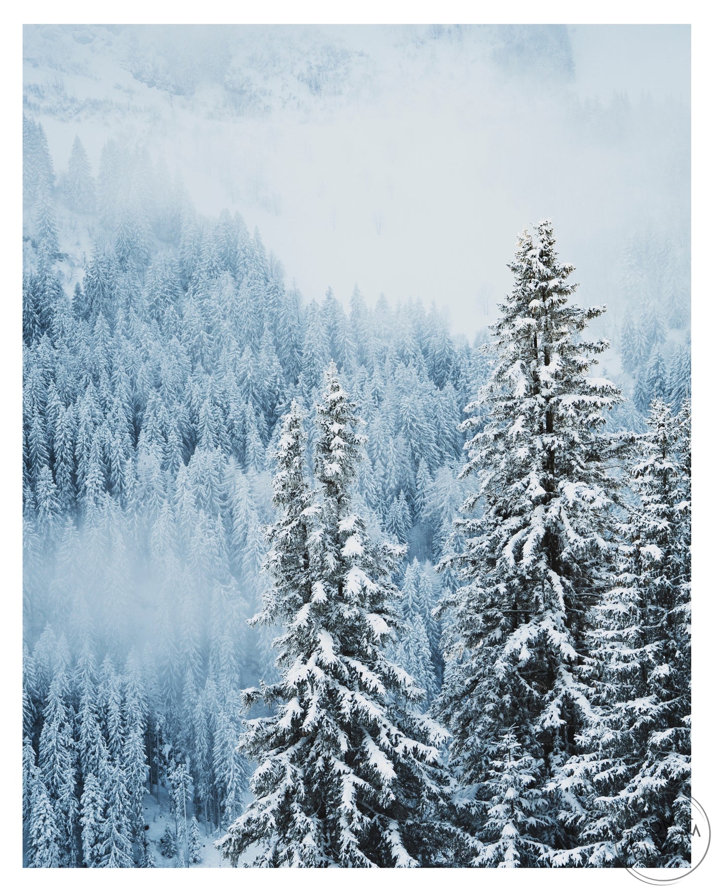 SNOW DAY