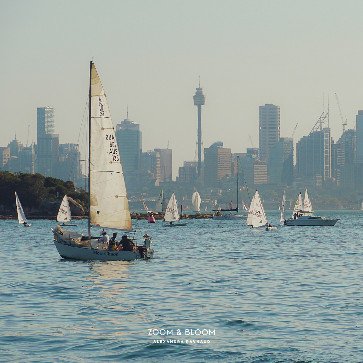 SAILING IN THE HARBOUR