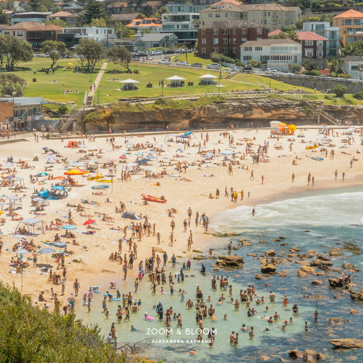 SUMMER IN BRONTE