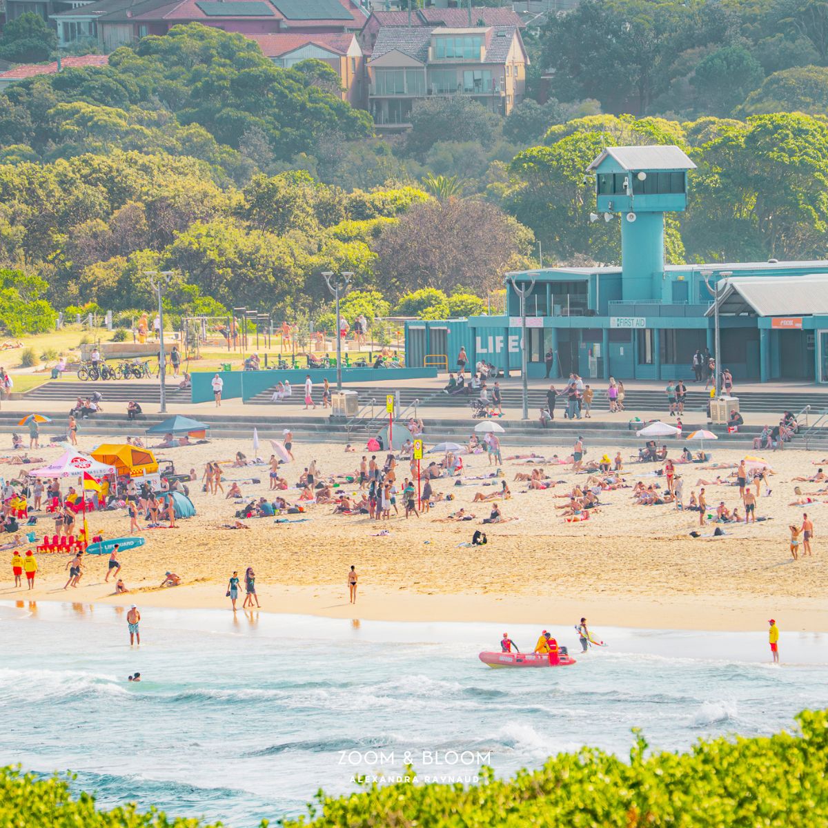 MAROUBRA'S BLUE HEART