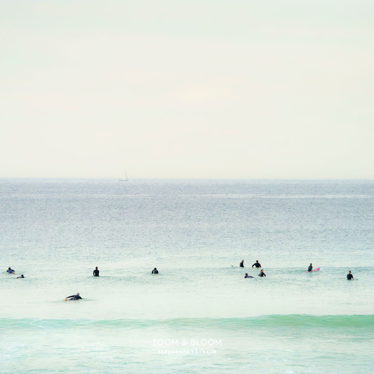 MAROUBRA SEALS