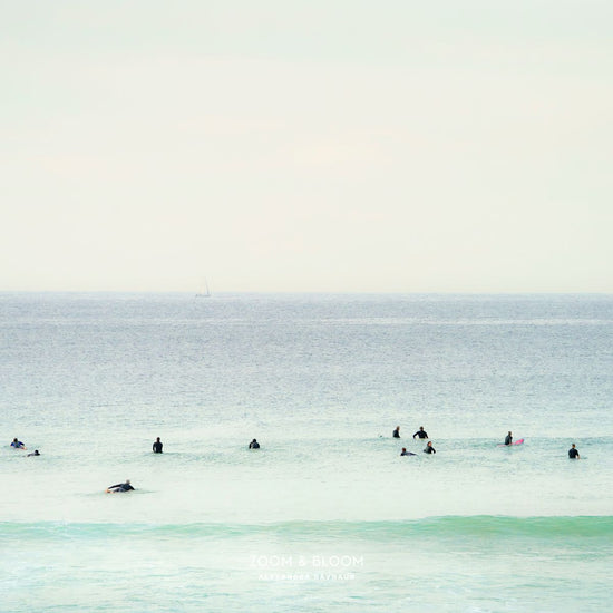 MAROUBRA SEALS