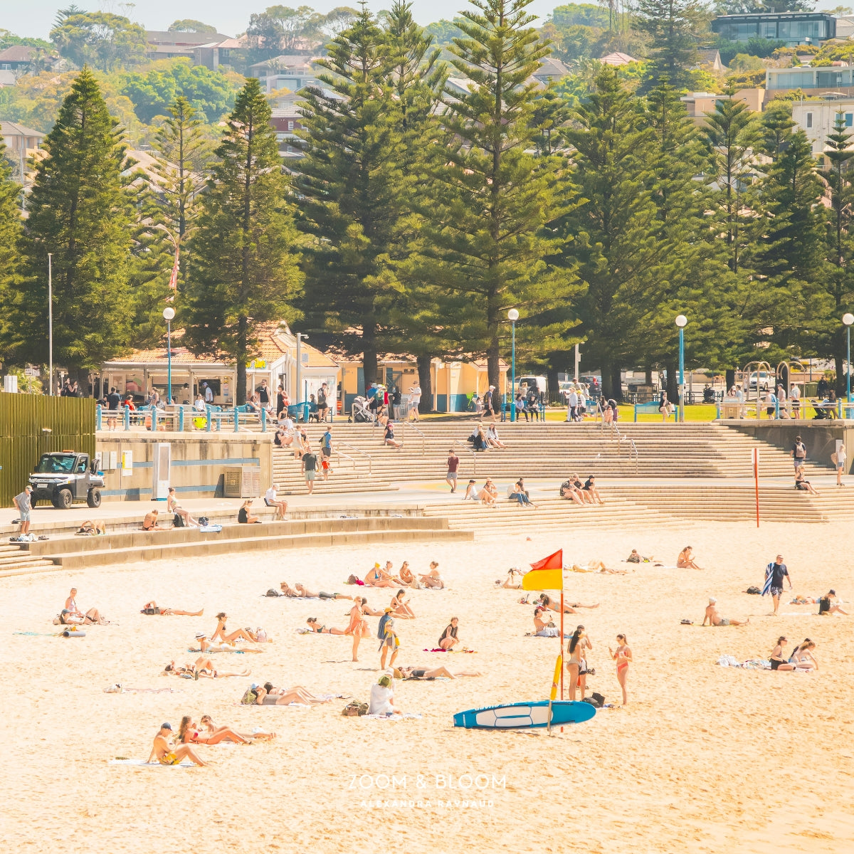 COOGEE CROWD