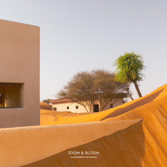 HOUSE ON A DUNE