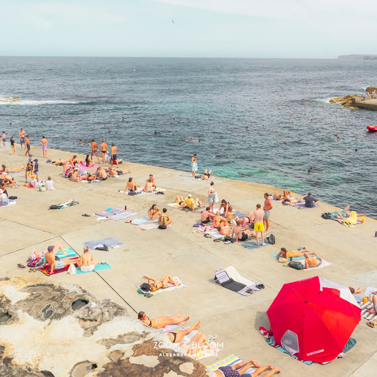 CLOVELLY UMBRELLA