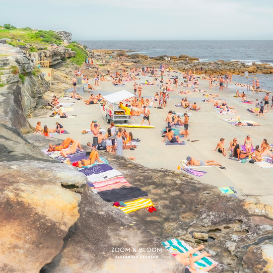 CLOVELLY ROCKS