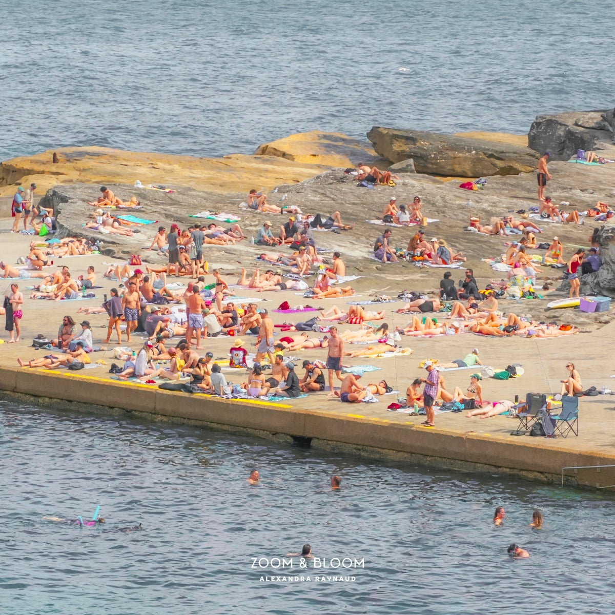 CLOVELLY ISLAND